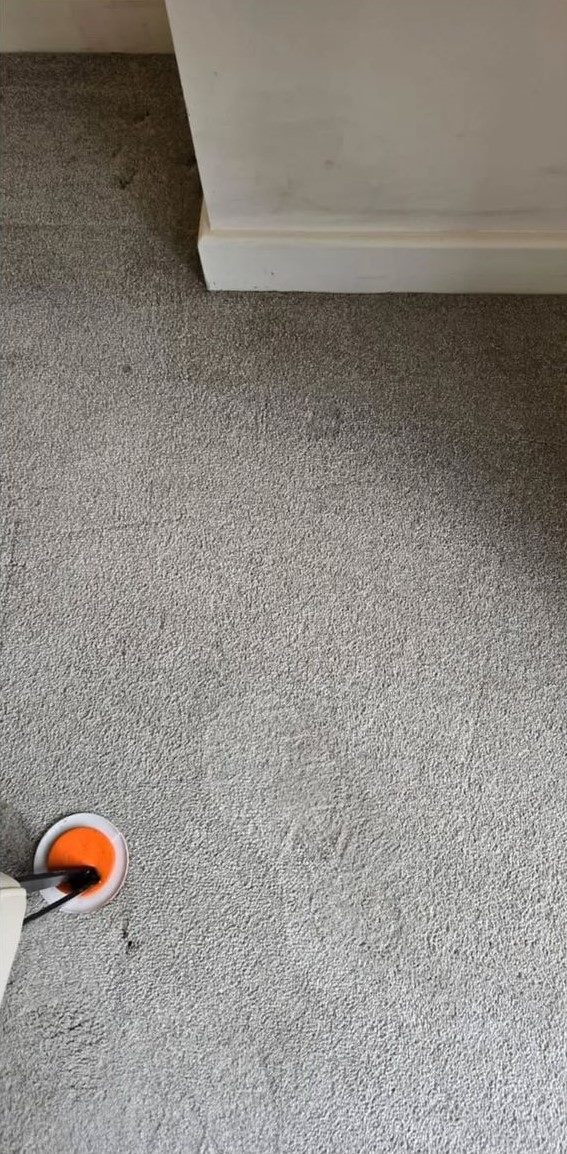 After carpet cleaning